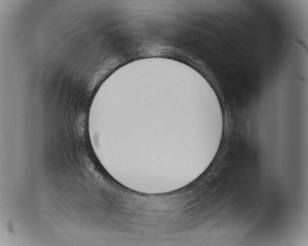 X0000103480010200810241049