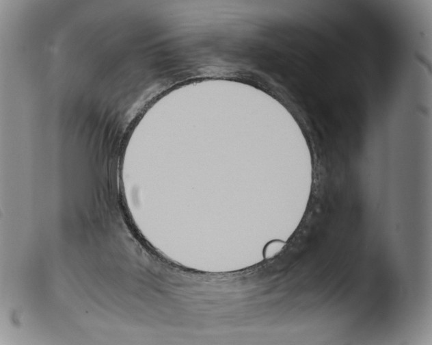X0000103480011200810241049