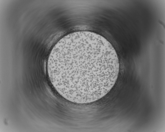 X0000103480014200810241049