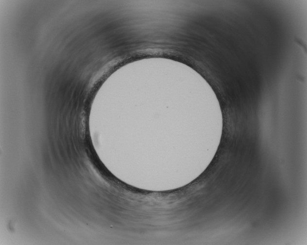 X0000103480016200810241049