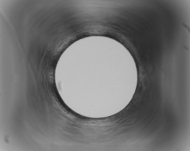 X0000103480017200810241049