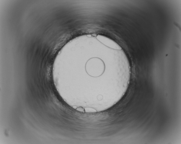 X0000103480018200810241049