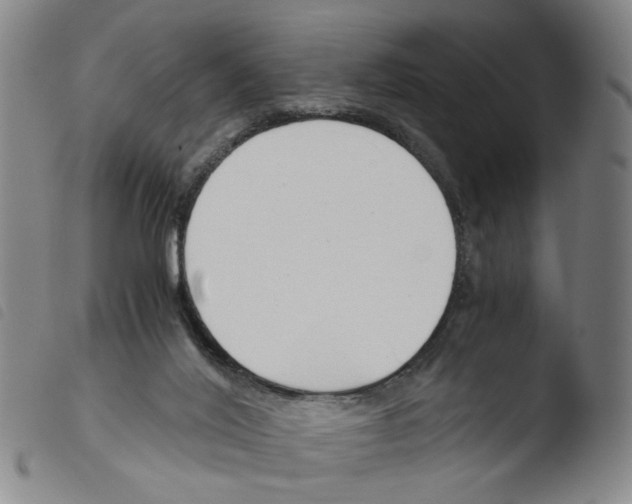 X0000103480020200810241049