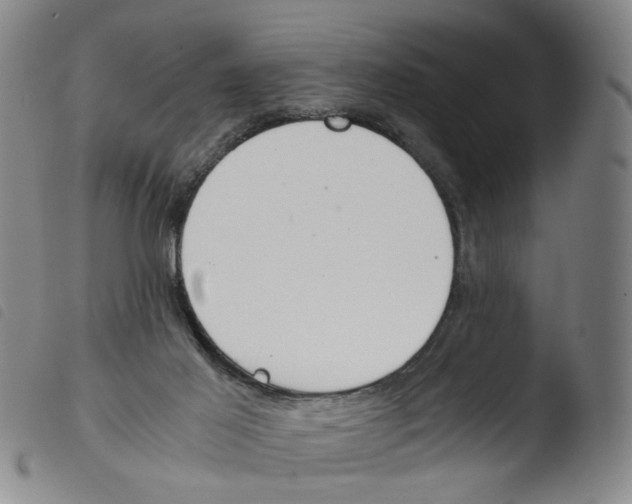 X0000103480021200810241049