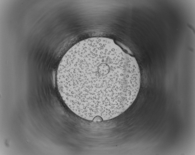 X0000103480022200810241049