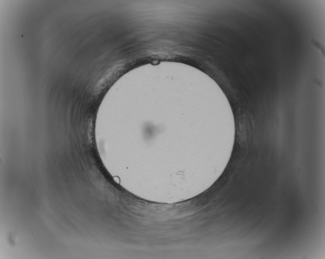X0000103480023200810241049