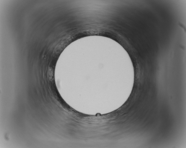 X0000103480025200810241048