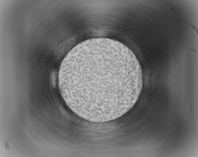 X0000103480026200810241048
