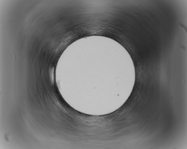 X0000103480028200810241048