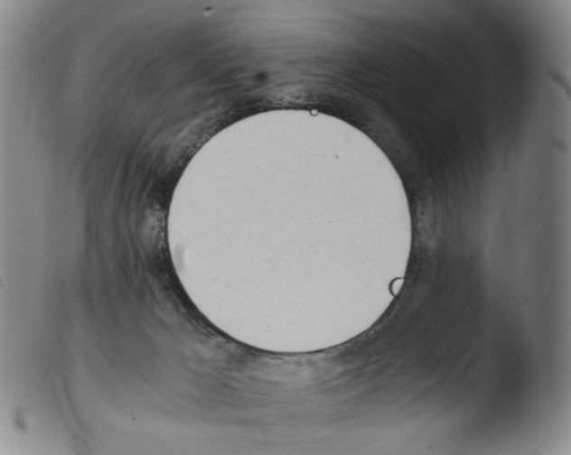 X0000103480029200810241048