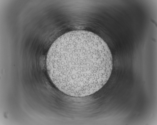 X0000103480030200810241048