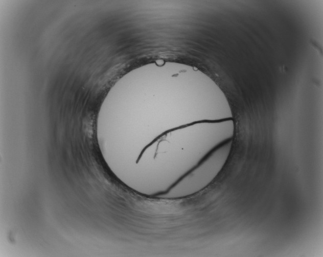 X0000103480032200810241048