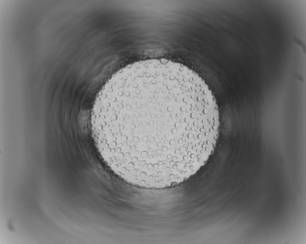 X0000103480034200810241048