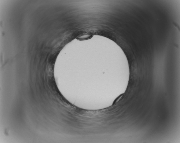 X0000103480037200810241048