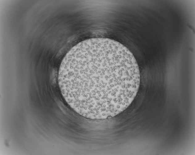 X0000103480038200810241048