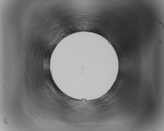 X0000103480040200810241048