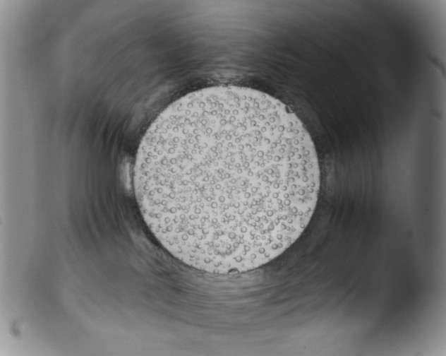 X0000103480042200810241048