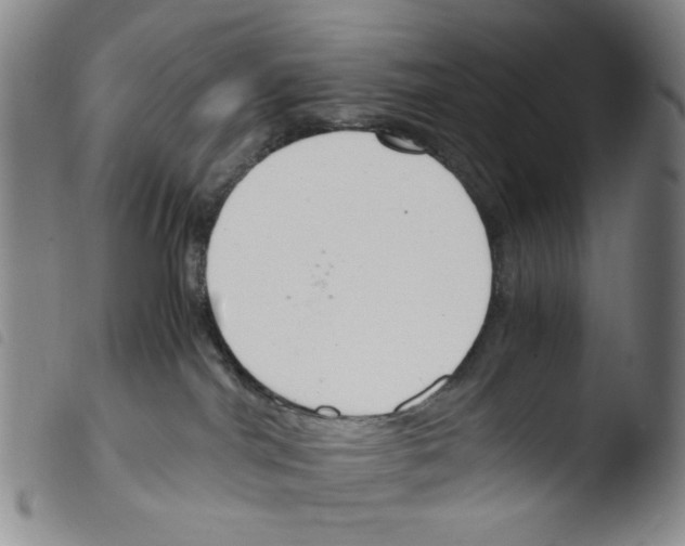 X0000103480044200810241048