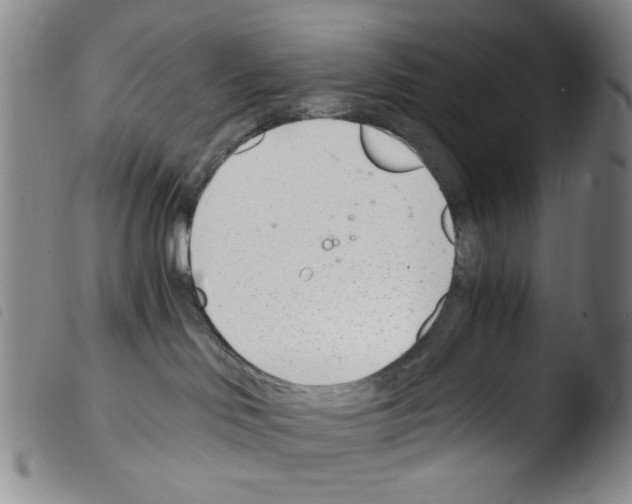 X0000103480046200810241048