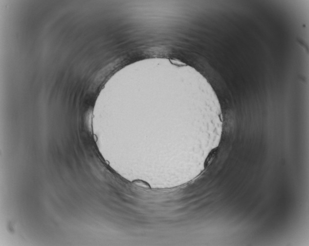 X0000103480047200810241048