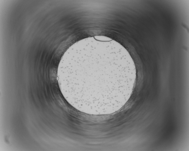 X0000103480048200810241048