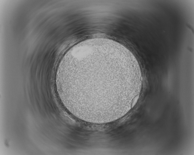 X0000103480049200810241047