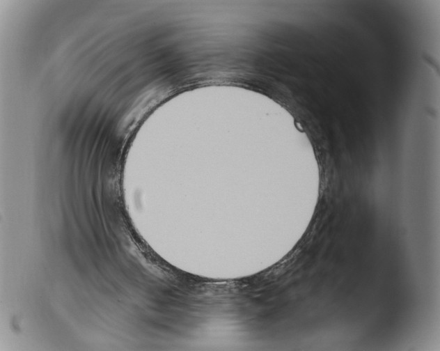 X0000103480050200810241047