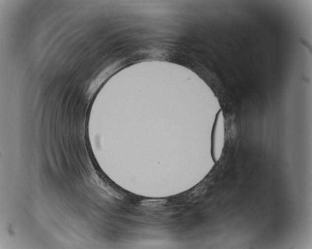 X0000103480051200810241047