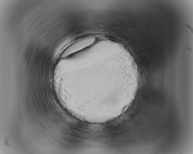 X0000103480053200810241047