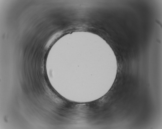 X0000103480054200810241047
