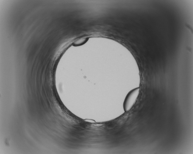 X0000103480055200810241047