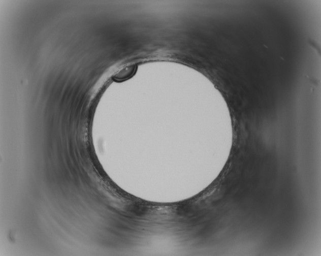 X0000103480056200810241047