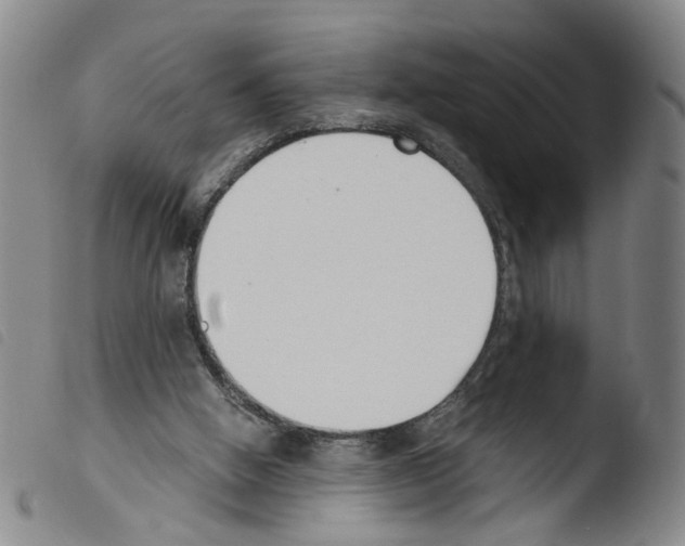 X0000103480058200810241047