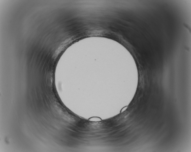 X0000103480059200810241047