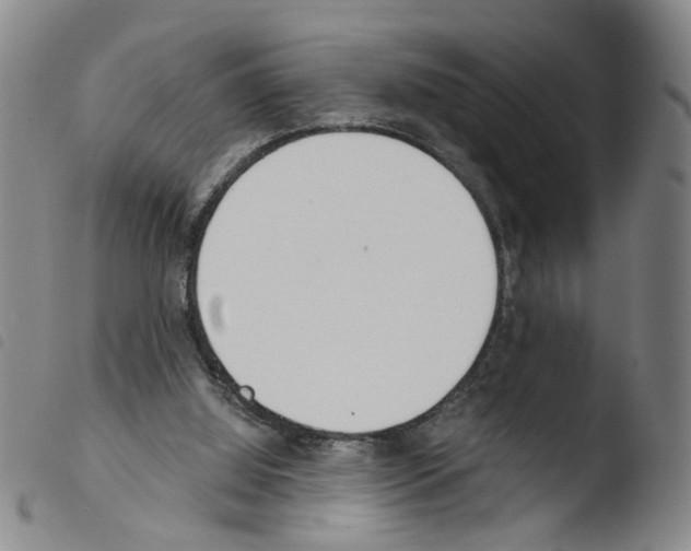 X0000103480060200810241047