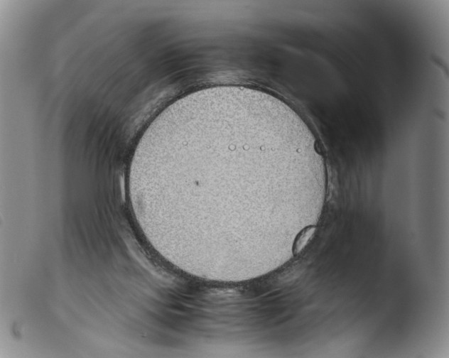 X0000103480061200810241047