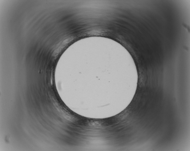 X0000103480062200810241048