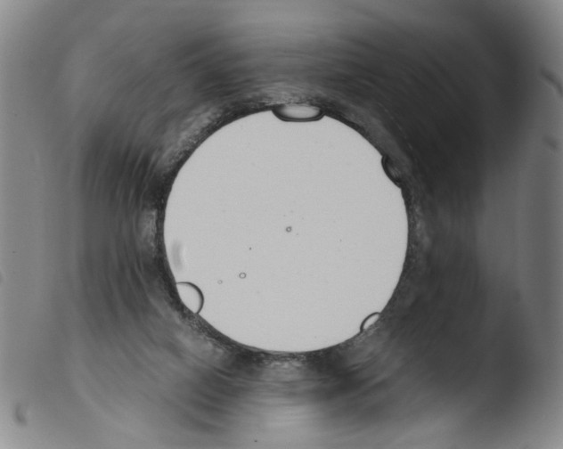 X0000103480066200810241048