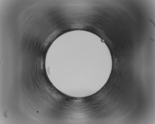 X0000103480068200810241048