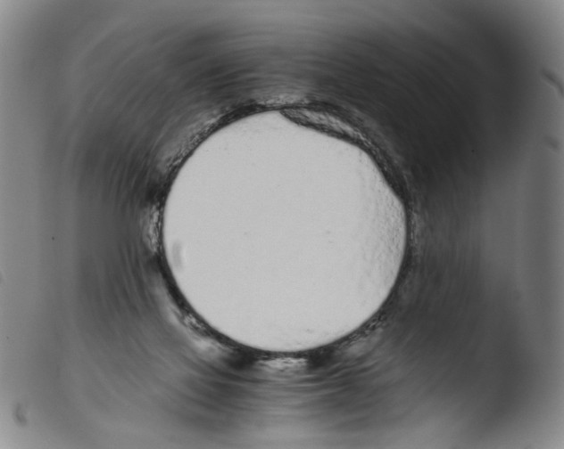 X0000103480069200810241048