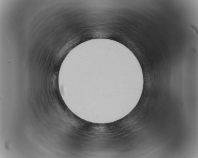 X0000103480071200810241048
