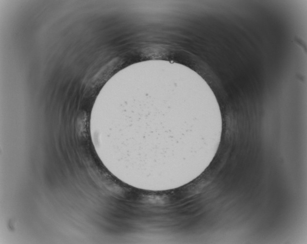 X0000103480073200810241048