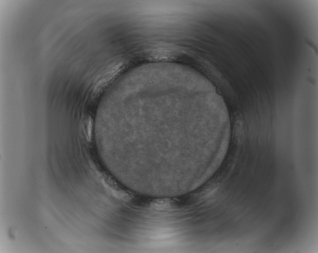 X0000103480076200810241048