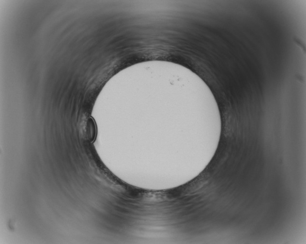X0000103480077200810241048