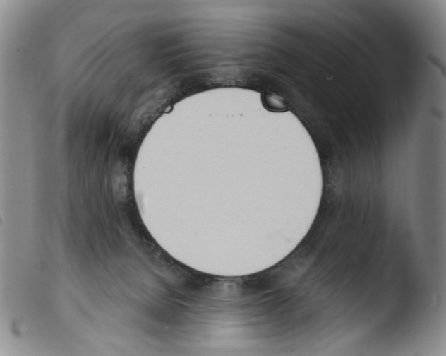 X0000103480080200810241048