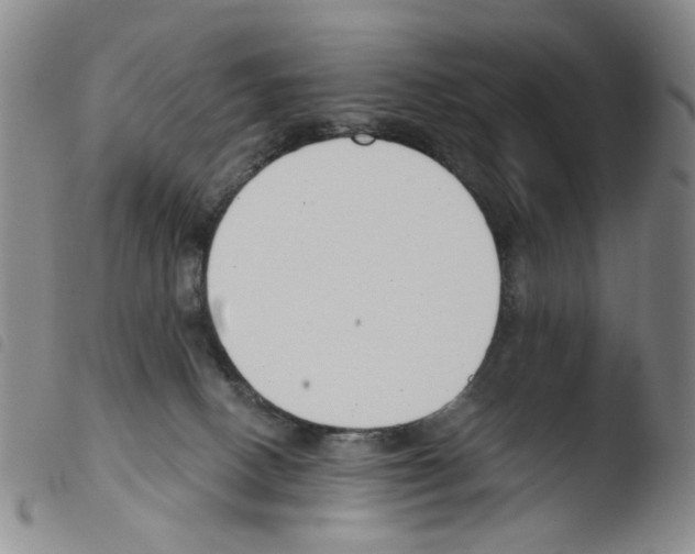 X0000103480082200810241048