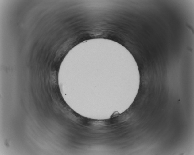 X0000103480085200810241048