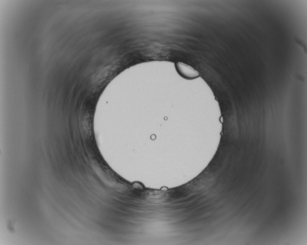 X0000103480088200810241048