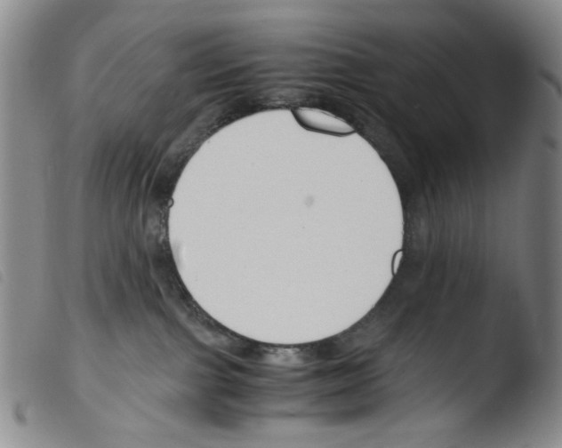 X0000103480091200810241048