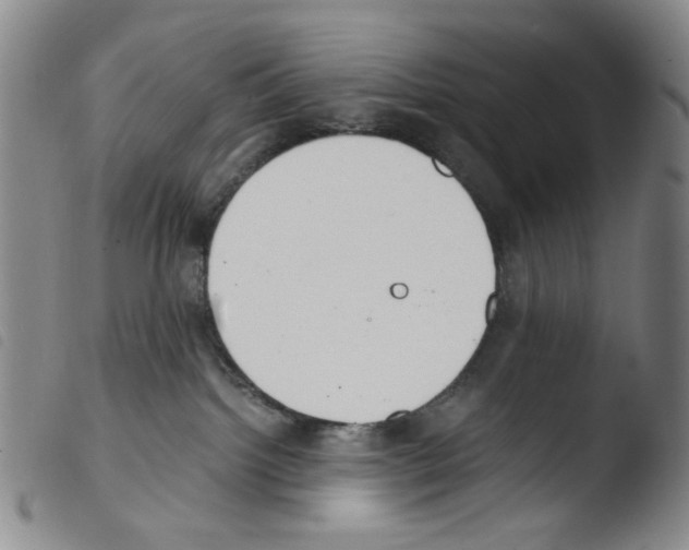 X0000103480092200810241048